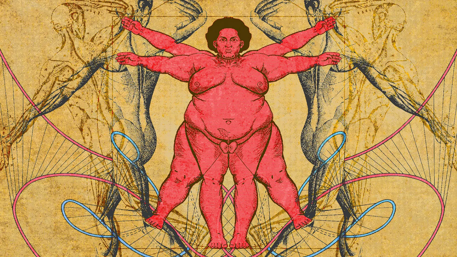 An illustration in the style of Leonardo's Vitruvian Man, redrawn with a fat body in red ink on aged parchment, arms and legs spread inside the circle and square.