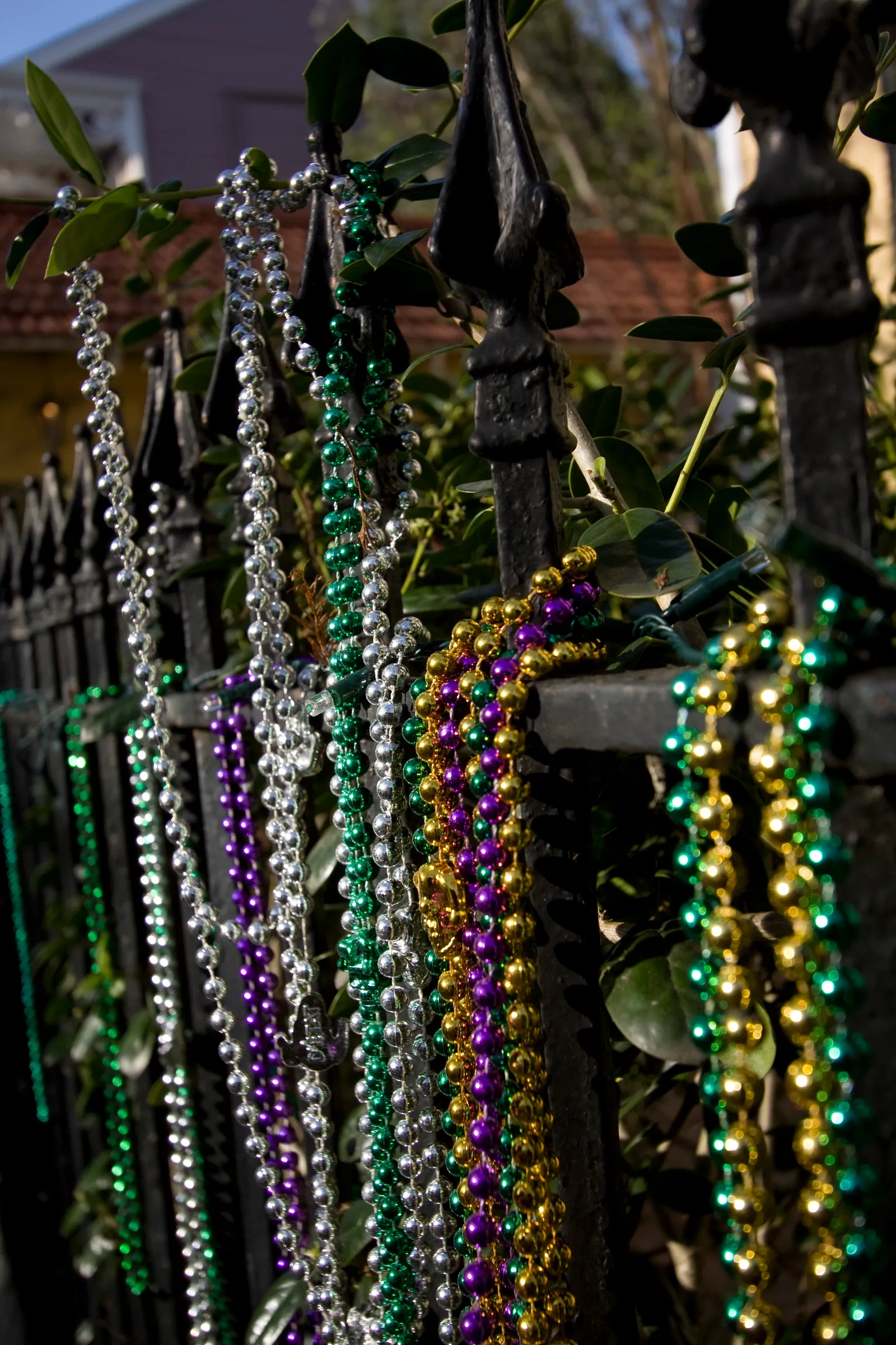 Strands of silver, green, purple and gold Mardi Gras beads draped over a black wrought-iron fence in New Orleans, tangled with green leaves. No people are depicted.
