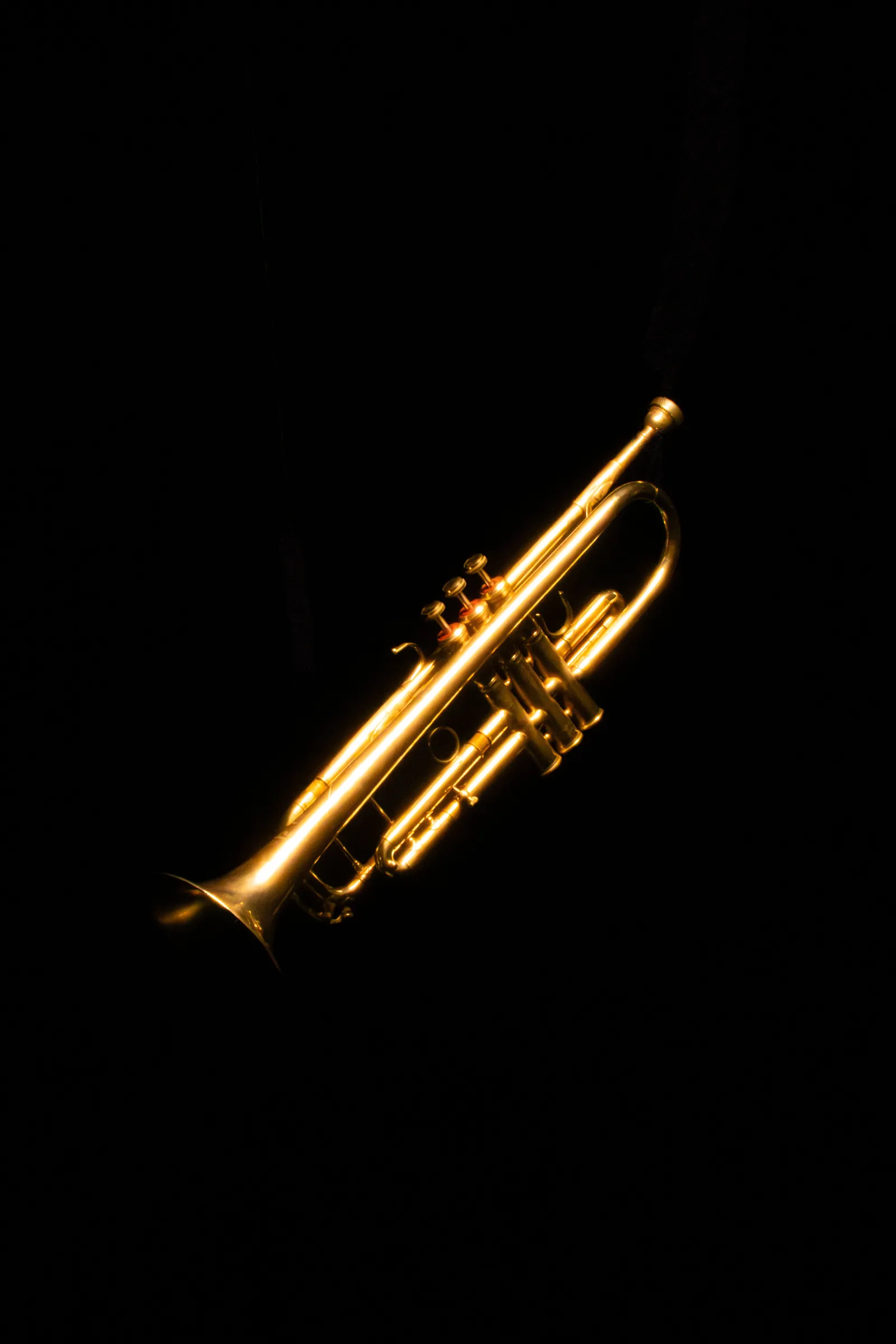 A shiny gold trumpet photographed in close-up against a deep black background. No people are depicted.