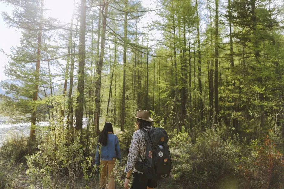 Two hikers with packs walking away down an overgrown forest trail between tall larches.