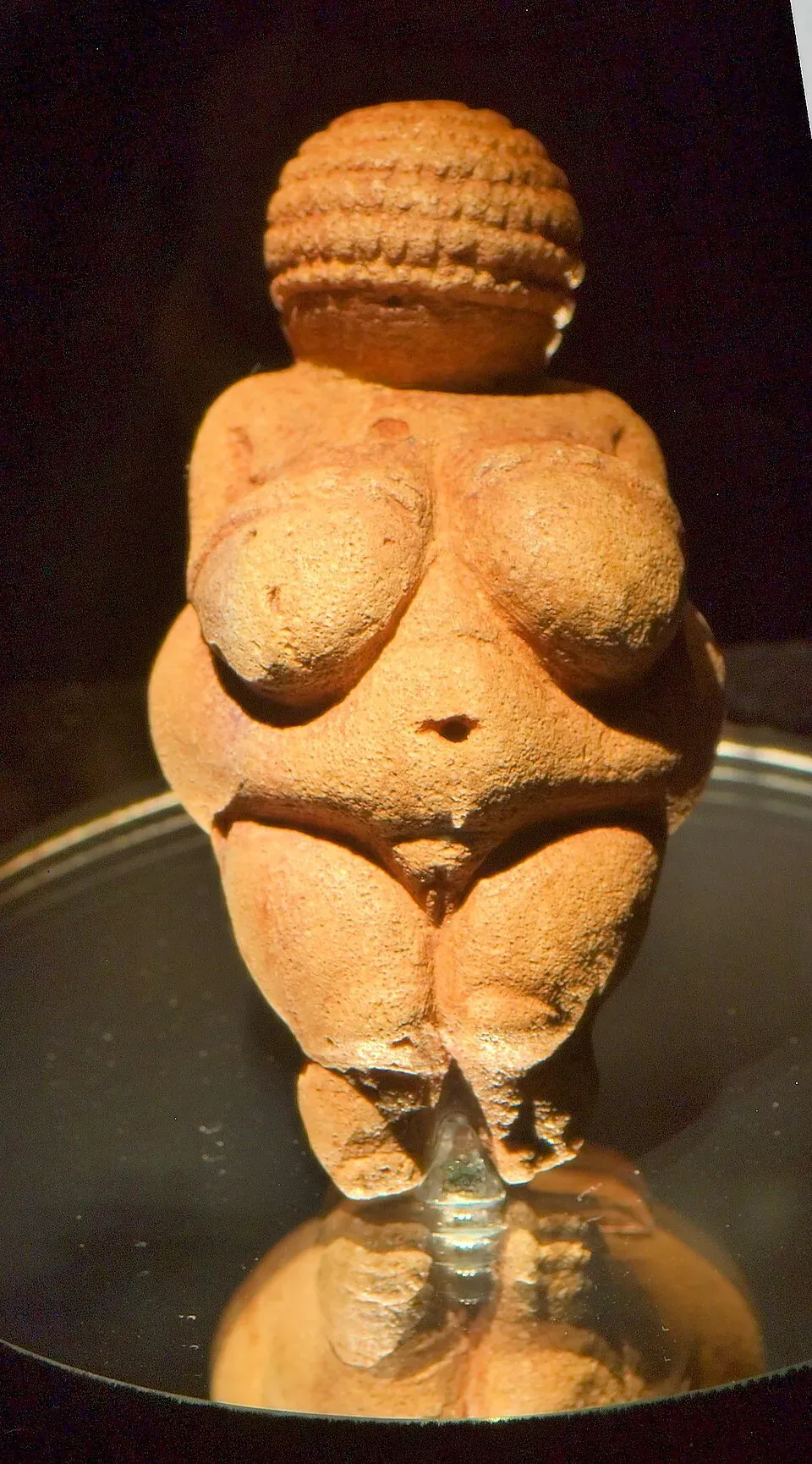 The Venus of Willendorf photographed in its museum case on a mirrored plinth: a small limestone figure roughly 11 centimetres tall, with heavy breasts, a rounded belly and broad hips, her head covered in carved concentric rings and no face carved at all.