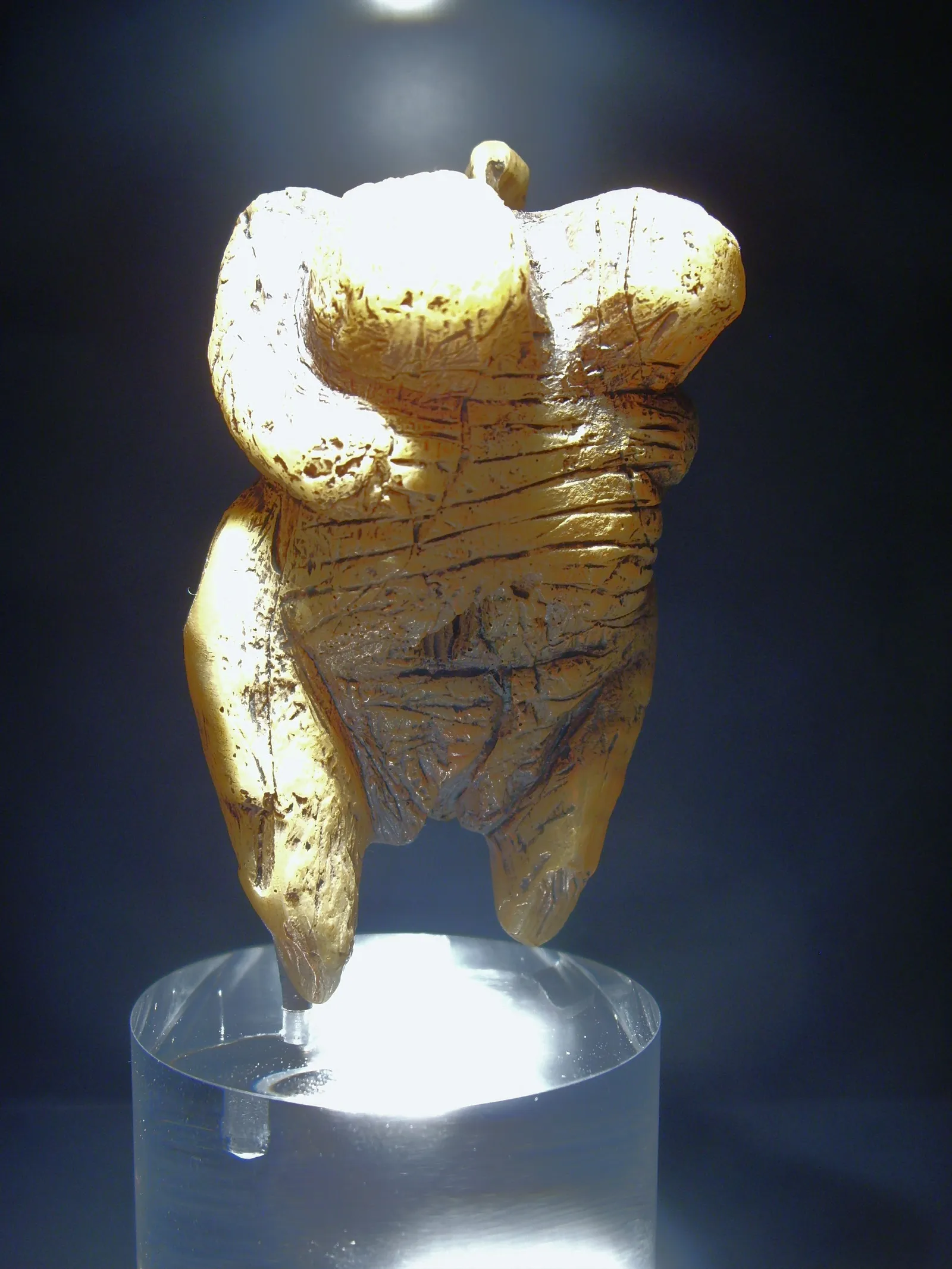 The Venus of Hohle Fels, carved from mammoth ivory around 40,000 years ago and the oldest known figurative depiction of a human being, lit against a dark ground: an exaggeratedly full torso with broad hips and short legs, a carved ring in place of a head.